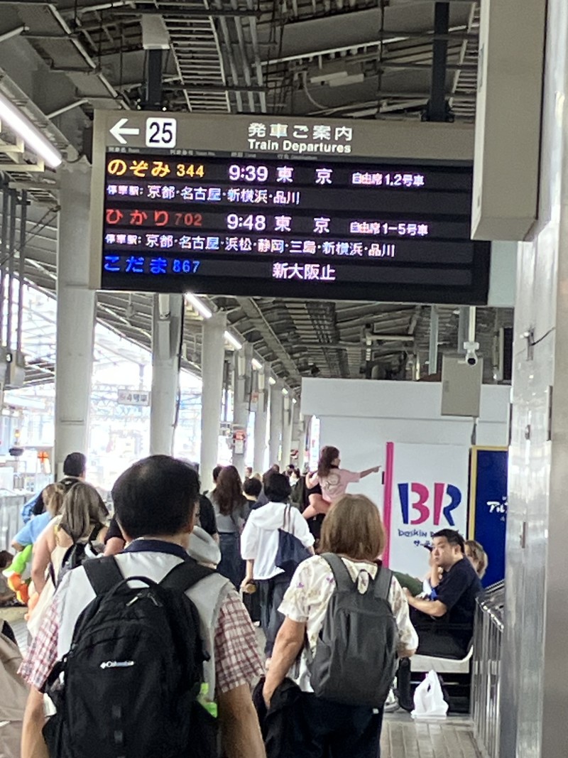 ブログ画像482