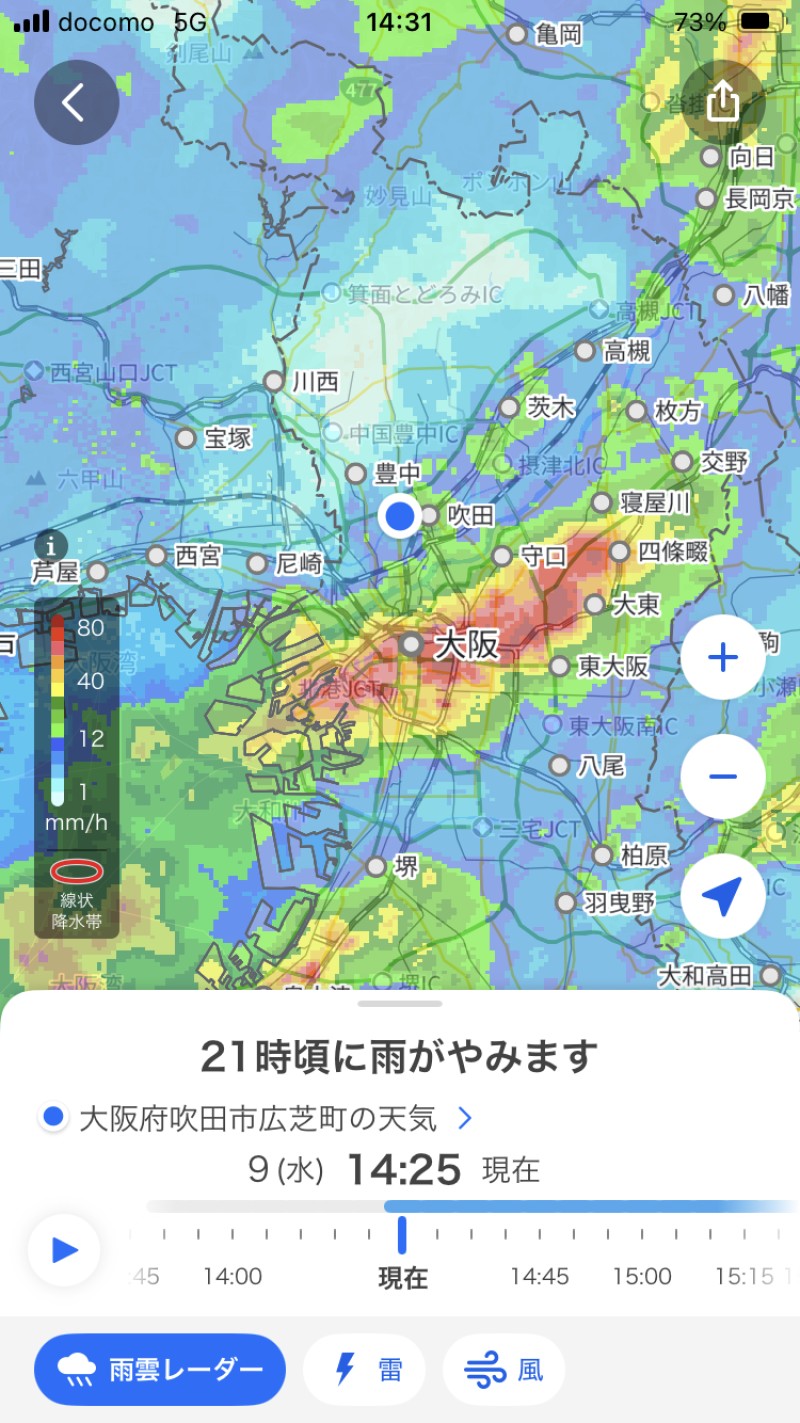 ブログ画像493